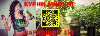 гашик Жуковский