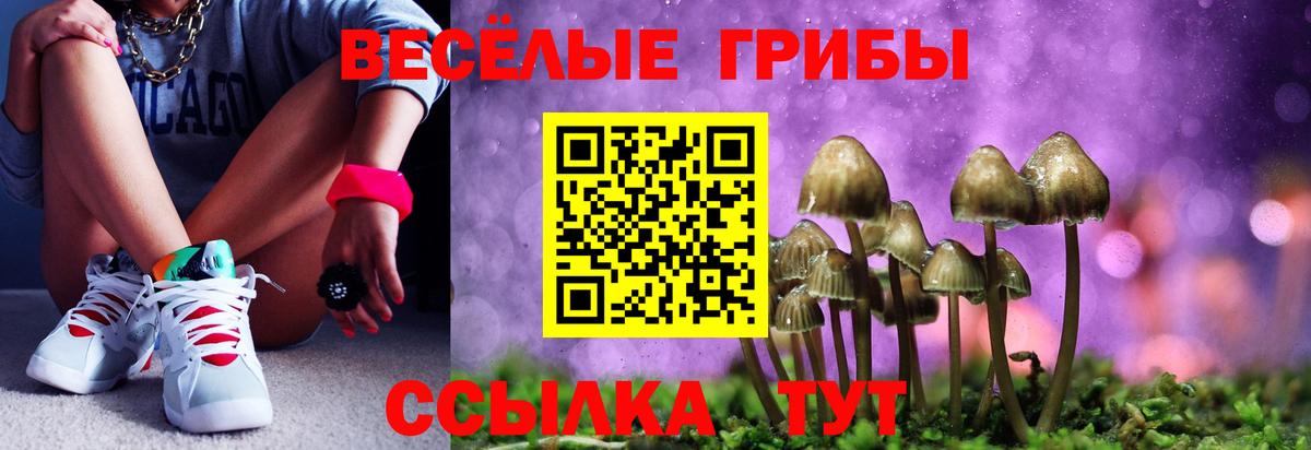 Галлюциногенные грибы ЛСД  Псилоцибиновые грибы Psilocybine cubensis  Ленинск-Кузнецкий  Вход с VPN 